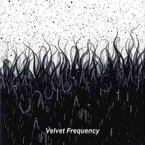Velvet Frequency