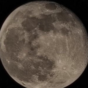 像素森林乌托邦.mp3