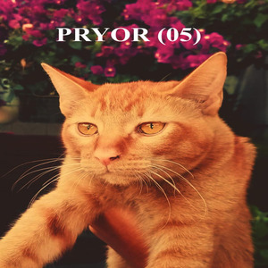 Pryor (05)