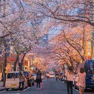 林大大-one minute（key.lllh remix）