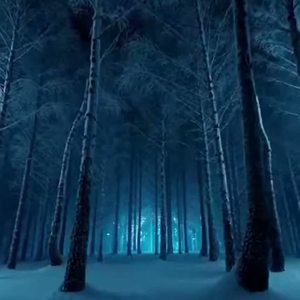 『氷精の森（Forest of Frost Spirits）』Instrumental by FUMIN