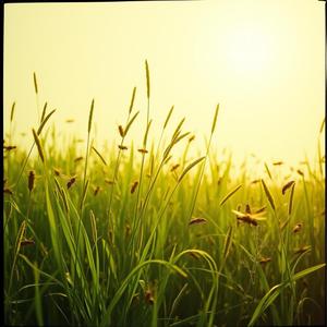 Mosquitoes Don't Sleep Late