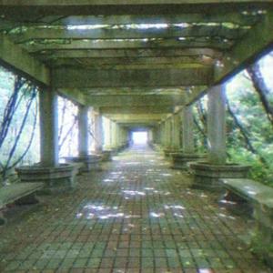 梦在治愈我的病