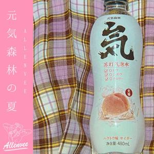 ラ・ムー -元気森林の夏（allenvee remix）