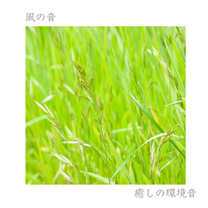 風の音 -ノイズキャンセリング-