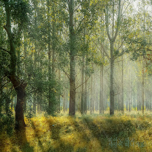 사랑이 떠나가요