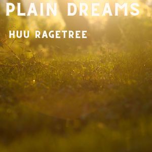 Plain Dreams