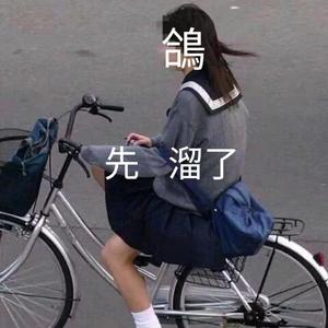 哥哥是你的鸽鸽