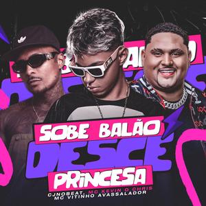 Sobe Balão Desce Princesa