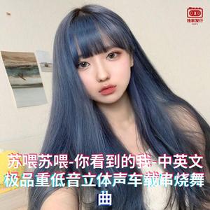 DJ国飞-苏喂苏喂-你看到的我-中英文极品重低音立体声车载串烧舞曲（DJ国飞 remix）