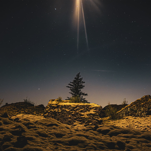 Chemicals Make You Small