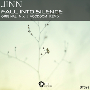 Fall Into Silence (Original Mix)