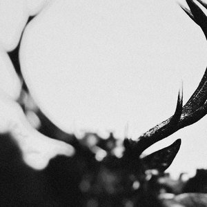 CERVUS VENATOR (Orchestral Version)