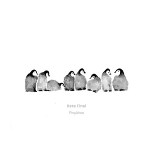 Pingüinos