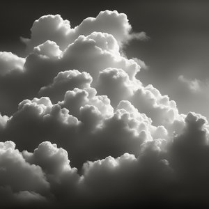 Follow Me Follow Me Now