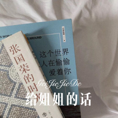 青春已不在 (Remix)