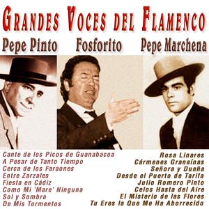 Tiene el Color de la Sangre