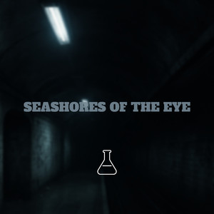 Seashores of the Eye
