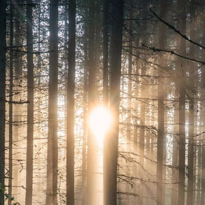 我想和你唱-刚好遇见你（不穿AJ remix）