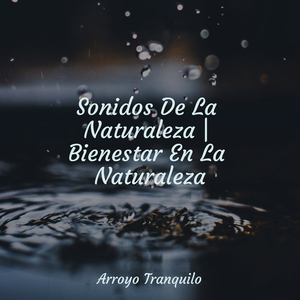 Momentos Tranquilos Al Atardecer