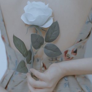 阿拉斯加海湾_北极星小姐姐