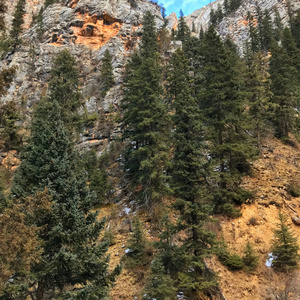 BACH-bach BWV 577（MØLUCK Remix）