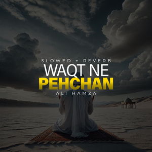 Waqt Ne Pehchan Lofi