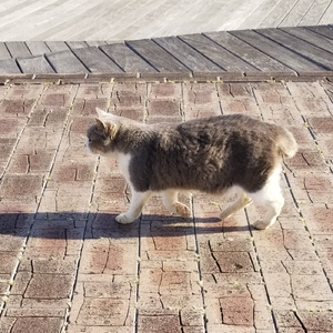 心の中に