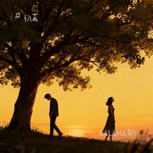 走着走着就走散了