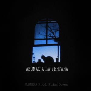 Asomao A La Ventana