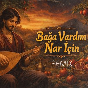 Bağa Vardım Nar İçin (Remix)