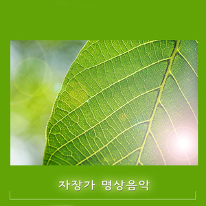 자장가음악 (안락함)