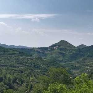 lv_0_20220326100244_2022-03-26_104720