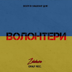 Волонтери: Воля в нашому ДНК