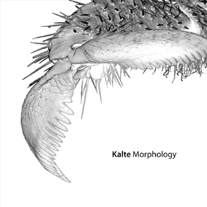 Stochastic Resonance