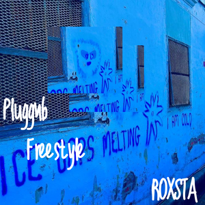 Pluggnb Freestyle