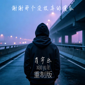 谢谢那个没放弃的傻瓜（重制版）