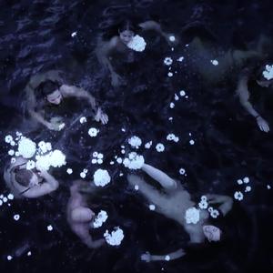 相爱后动物感伤