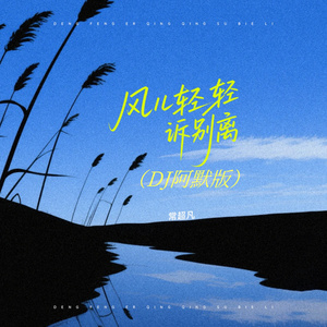 风儿轻轻诉别离 (DJ阿默版)