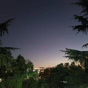 黑茶色头发的姑娘