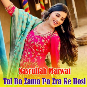 Taki Toray Shapay De Bal Seyalkot Ki Yama parot