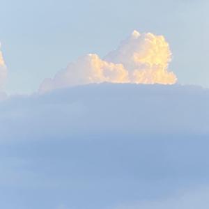 日落大道 （cover：梁博）