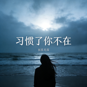 习惯了你不在（Reverb）