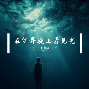 在分界堤上看见光