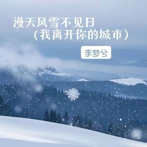 漫天风雪不见日 (我离开你的城市)
