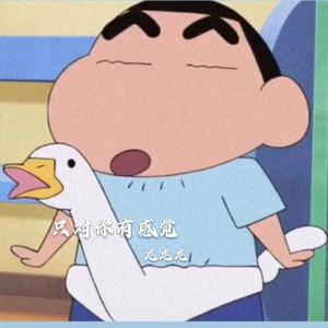 只对你有感觉