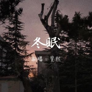 冬眠(Cover：司南)
