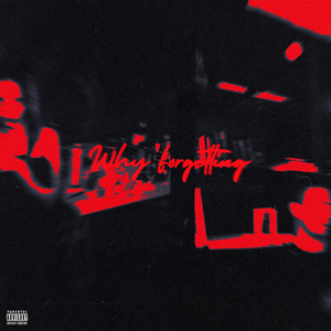 Why Forgetting? (Single Version)