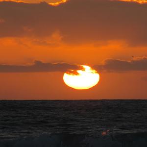 I want to go to French Guinea Right Now [Why not?] (feat. Jobi)