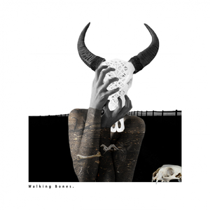 Walking Bones (Original Mix)